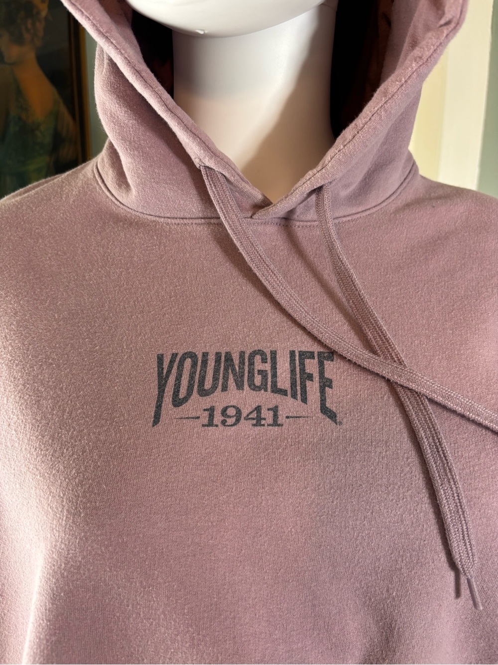 Younglife 1941 Sharp Top Cove Georgia Mauve Hoodie Sweatshirt XL - Picture 6 of 9